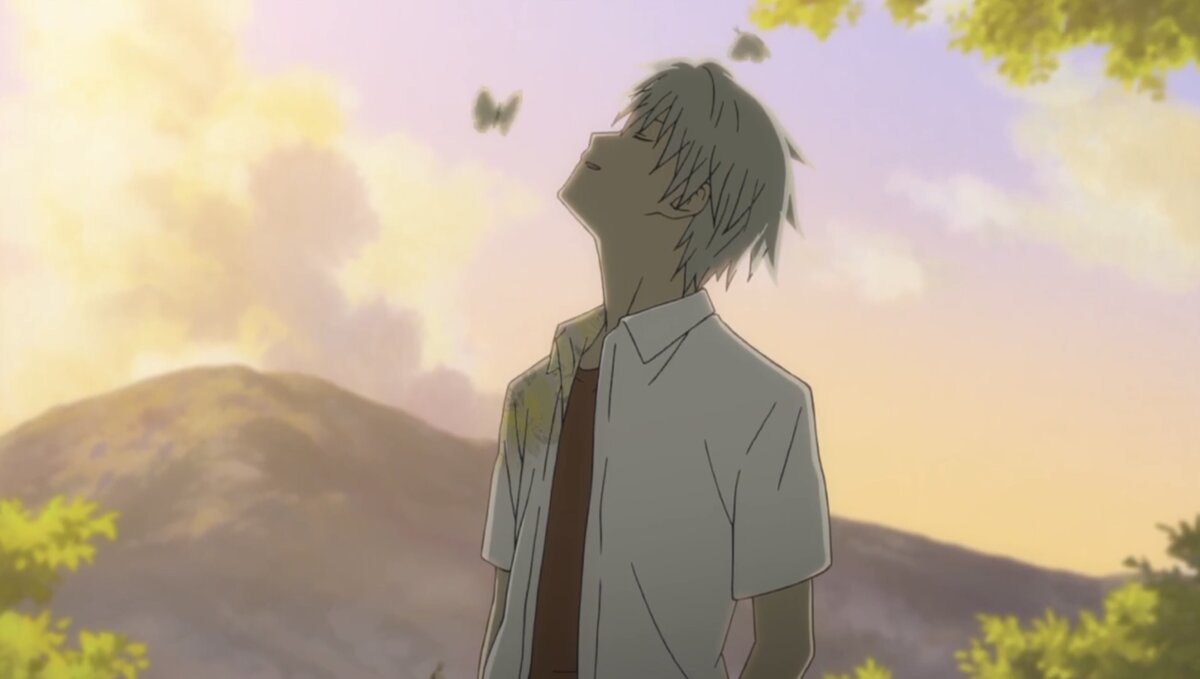 аниме мир лес в лесу мерцания светлячков. в лесу мерцания светлячков гин. сад мерцающих светлячков аниме. лес где полным полно. лес светлячков миядзаки.