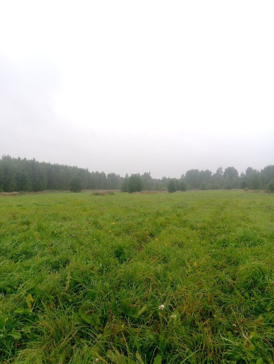 Фото просто для красоты:)