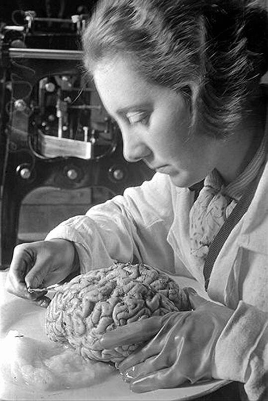 Источник: http://2planeta.ru/_nw/36/61329728.jpg