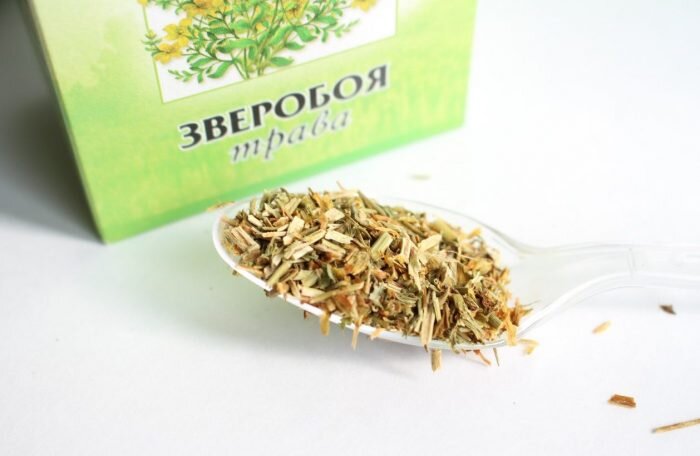Зверобой можно купить в аптеке