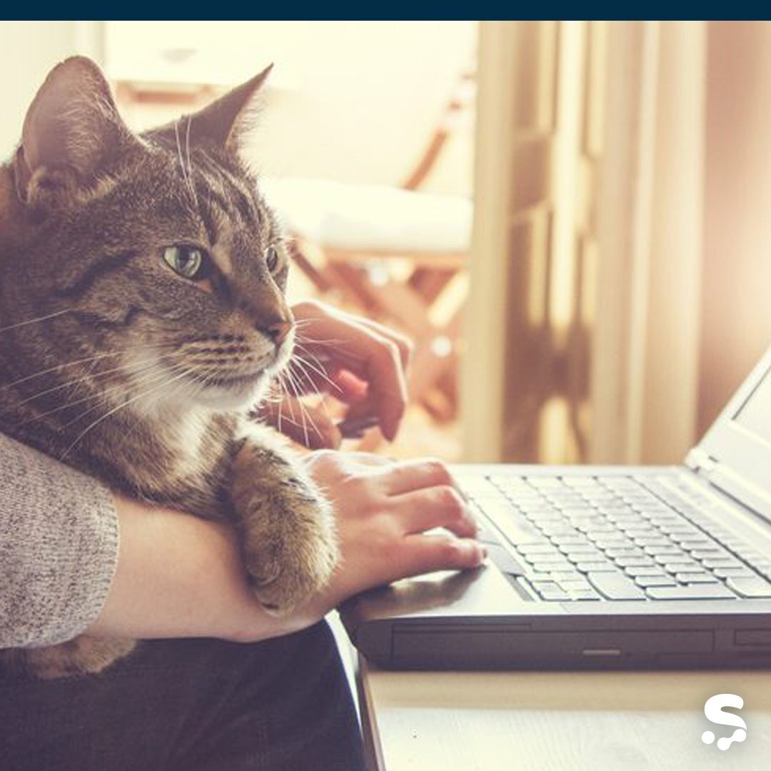 Изображение взято из открытых источников