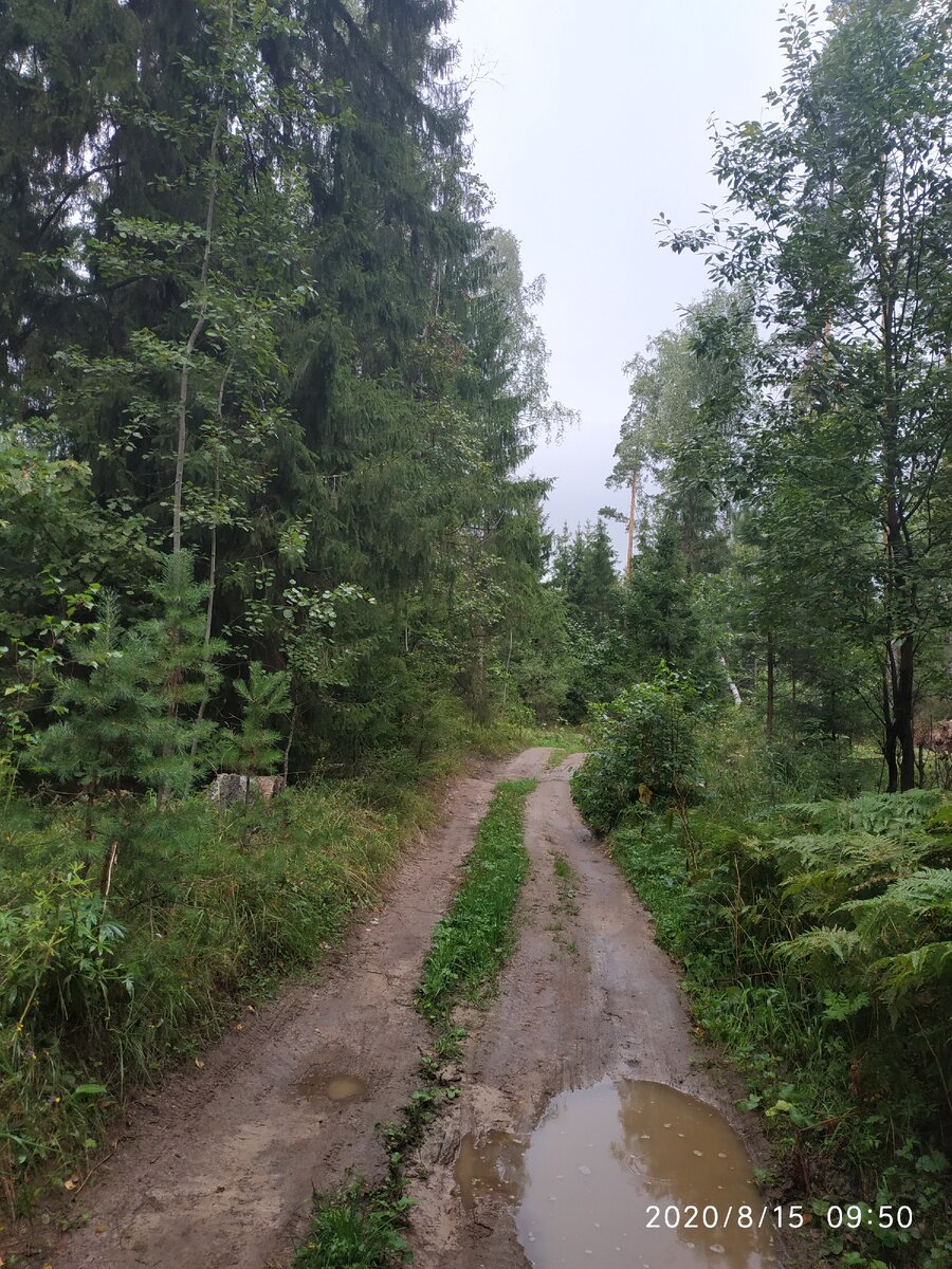 Дорога к заветной цели.