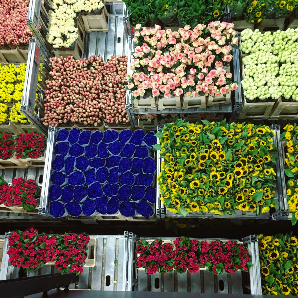 Купить цветы на базе. Цветочный рынок. Оптовый рынок цветов. Оптовая база цветов. Цветочная база Рижский рынок.