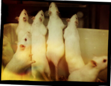 А может лучше выйти?