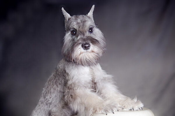 Бастинда  Х'ит Улдуз