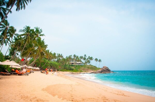 
– Расскажите о себе.