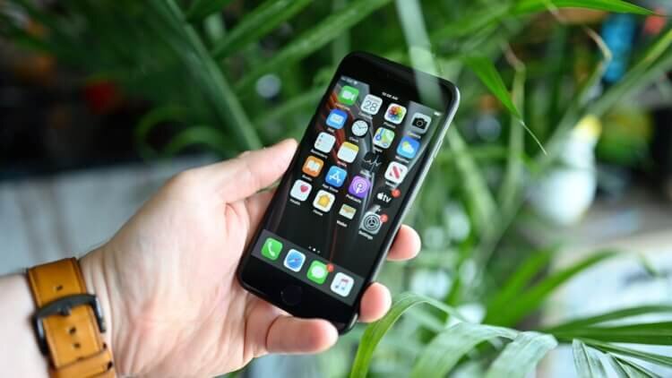 Если Apple снизит цену iPhone SE 2020, его будут покупать ещё охотнее 