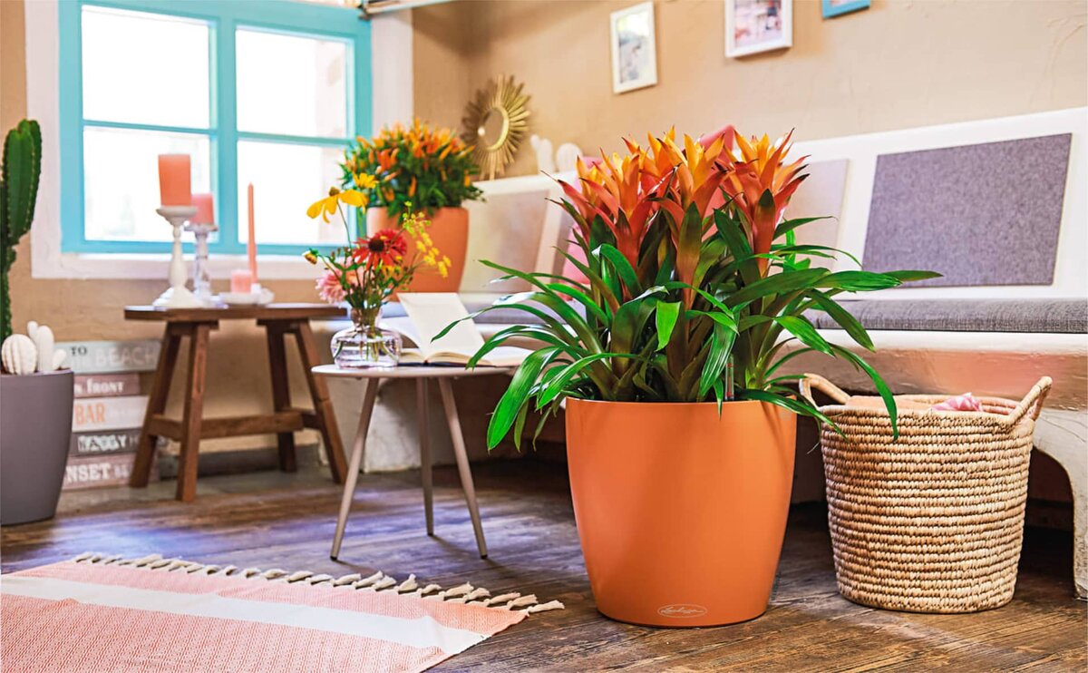 Источник фото: growtool.ru