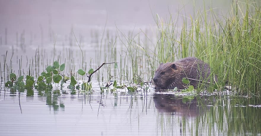 Занимаюсь делом, а ты подойди если такой смелый.