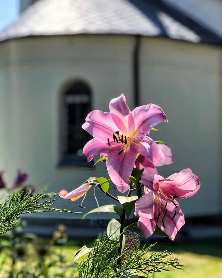 Фото Евсеенко Евгении