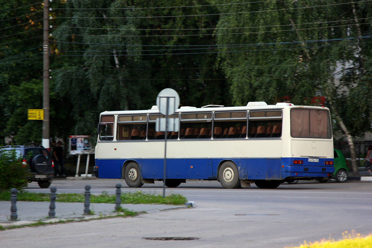 Последние из венгерских 