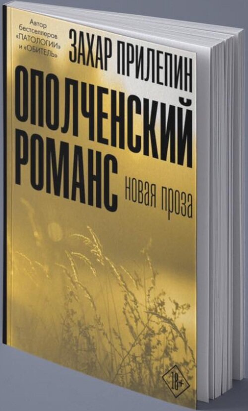 современная новейшая проза. современная новейшая проза. александр брагин книги. помощник китайца купить илья кочергин. современная проза.