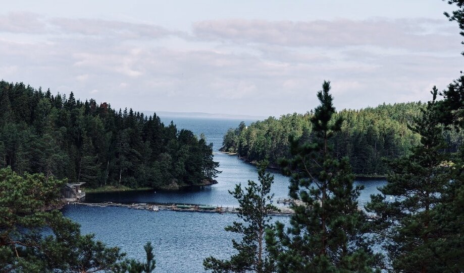 Самое большое озеро в Карелии. Ладожское