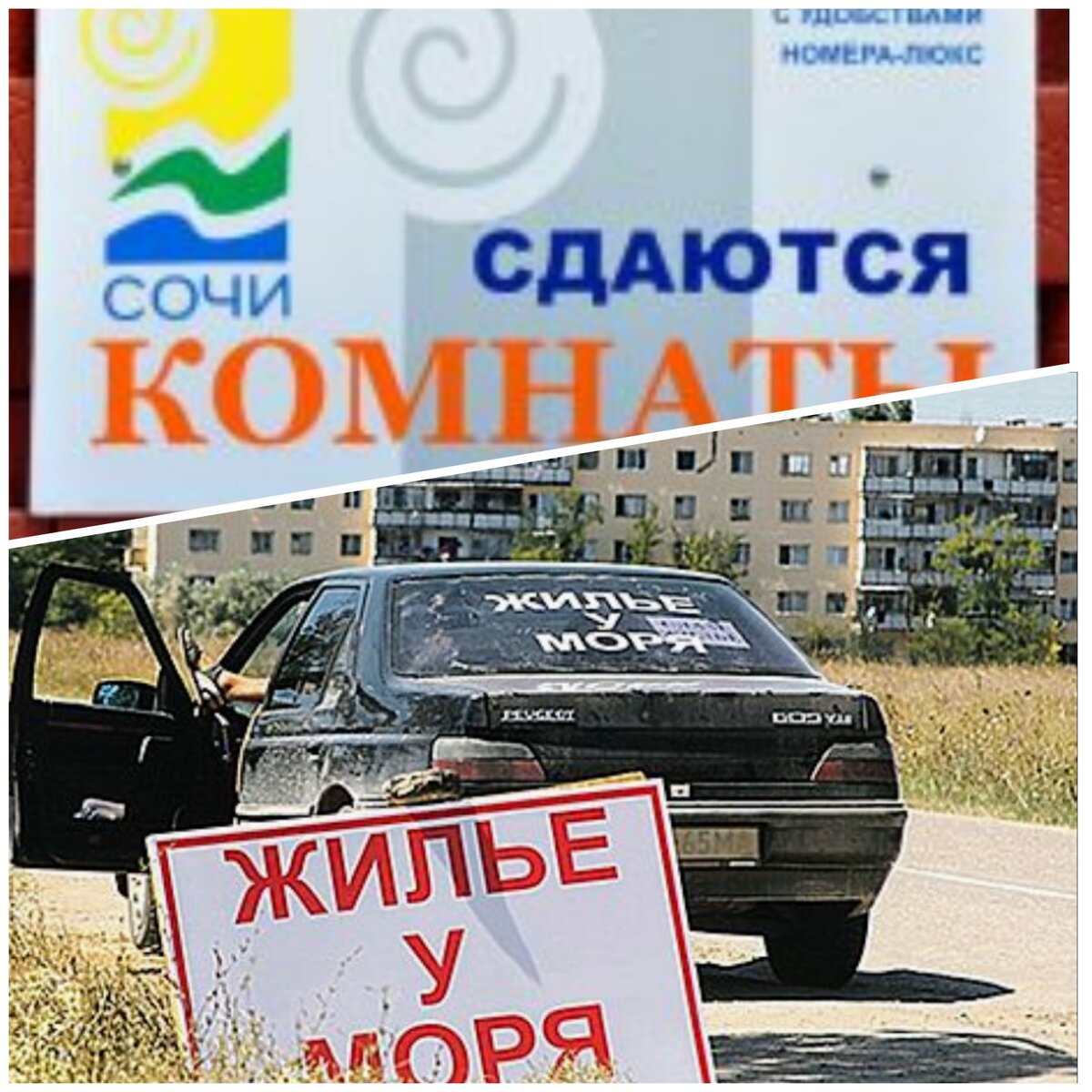 Бизнес на море.