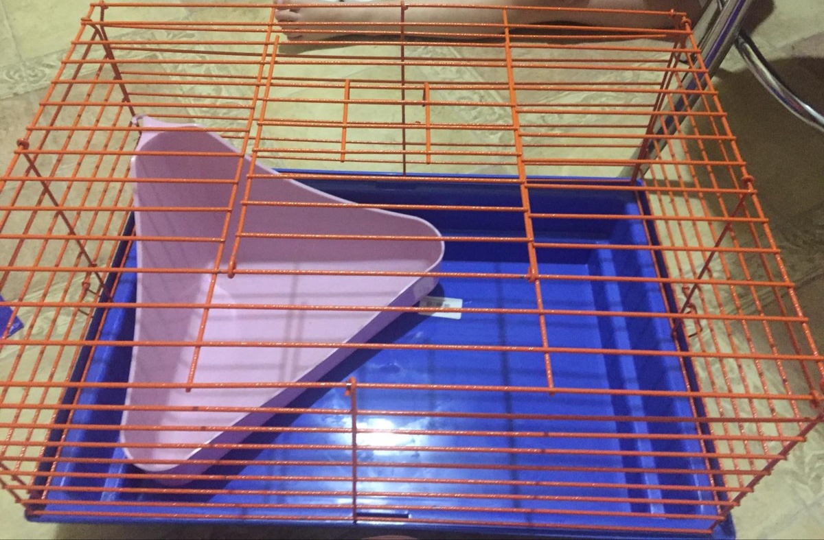 длина 50 см, ширина 40 см, высота 30 см