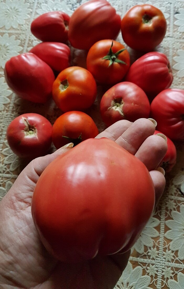 Листайте вправо