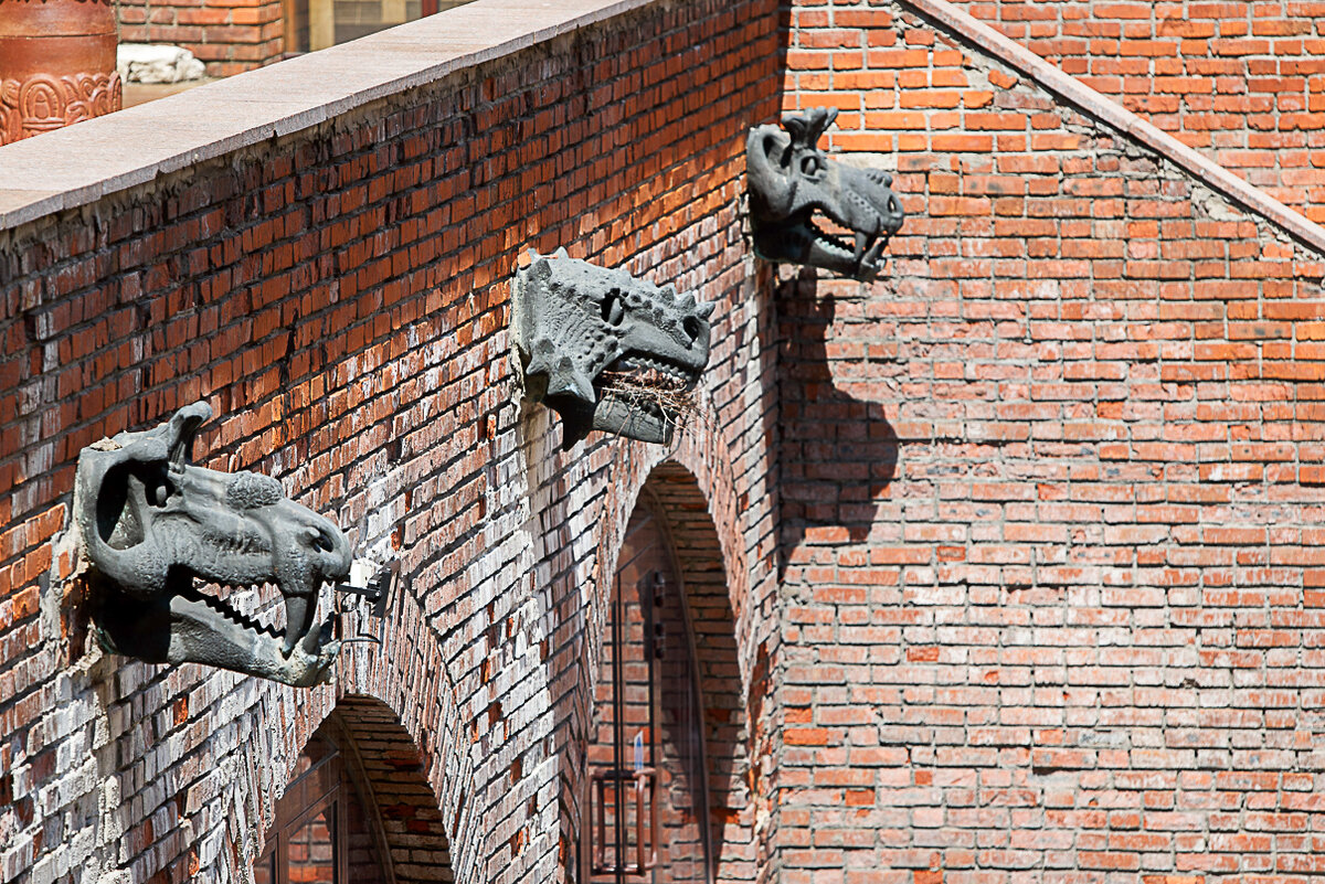 Собор в реймсе горгульи. Готический собор горгульи. Собор аббатства гаргульи. Гаргульи калининград. Готика архитектура гаргульи.