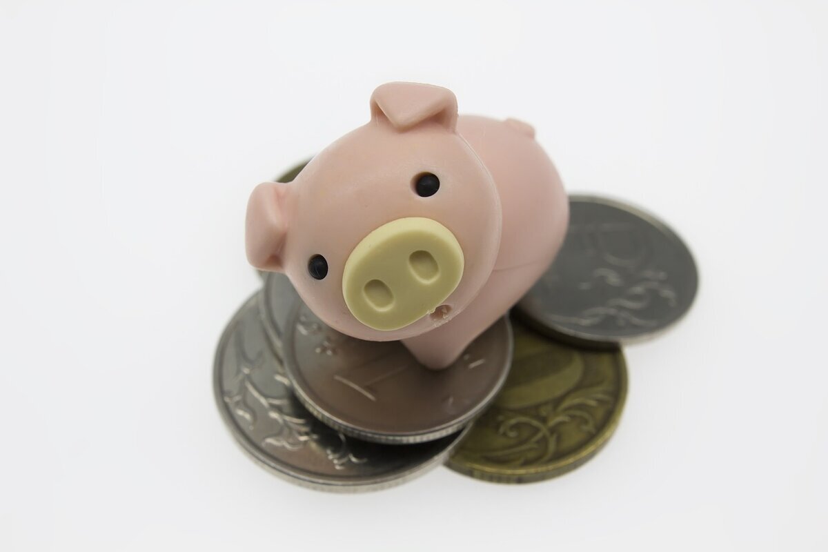 В середине предыдущего столетия семейства с 5-7 детьми являлись привычным явлением, нормальным для различных регионов нашей страны. К 1990-м годам ситуация кардинально поменялась. С каждым годом семьи даже с 3 детьми начали встречаться все реже. Подобное положение вещей вынудило государство вводить внедрять всевозможные меры социальной поддержки для многодетных семей. Различные выплаты за 3 ребенка в 2021 году только отражают старания чиновников оказать денежную поддержку многодетным семьям.Фото: pixabay.com
Связь демографии и поддержки семей властями
Несмотря на громадные государственные территории наша страна является государством с небольшим количеством жителей. Ряд стран в Европе, сравнимые по площади с одной из областей России, «взрастили» приблизительно 50% от численности российского населения. Большой скачок рождаемости в начале 2000-х оказался кратковременным — естественный прирост граждан России сперва случился, а затем начал постепенно затухать. Колебания приблизительно одинакового количества родившихся и умерших за год отмечалось в течение нескольких лет. В 2018 году в нашей стране отмечалась естественная убыль населения из-за одновременного роста смертности и снижения рождаемости.Только за первые полгода 2019 года наблюдения продемонстрировали снижение рождаемости на 8,1%, при этом тренд отмечался в абсолютном большинстве регионов России. Естественный прирост населения показали лишь 2 региона. К концу 2020 года Росстат обновил прогноз по демографии России до 2036 года.Фото: pixabay.xom
Изначально основной вариант являлся более оптимистичным — по сведениям прогноза на 2036 год планировалось 143 млн населения. Обновленная статистика дала другие выкладки, поскольку сегодня на данный период уже прогнозируется численность граждан России в 142 млн человек. Причина старта демографического спада очевидна многим — конец 1980-х и все 1990-е не предполагалось значительного количества детей как из-за нестабильности финансового положения семей, так и из-за элементарной физической безопасности.Самых тяжелых последствий следует ожидать в 2027-2028 годах. Прогнозируется, что в данные периоды естественная убыль населения достигнет около 580 тысяч человек в год. Затем размер убыли по годам станет снижаться, однако через 40 лет процесс повторится опять, поскольку серьезной основой для демографических спадов является высокая смертность населения и низкая рождаемость времен Великой Отечественной войны. В случае увеличения благосостояния россиян через 2-3 «витка спирали» глубина провалов рождаемости должна уменьшаться.
В этом и состоит непосредственная связь между различными мерами поддержки семей с детьми и демографией — с определенного момента государство старается оказать помощь родителям в содержании подрастающего поколения. С каждым годом для увеличения рождаемости делается все больше, в особенности в смысле увеличения количества единовременных выплат и регулярных пособий.Вас заинтересует: Где взять выгодный кредит наличными под небольшой процентЧто полагается за рождение 3 ребенка в 2021 году
Фото: pixabay.com
Семья с 3 детьми современным обществом уже признается как многодетная. Причем некоторые семьи не решились бы на рождение третьего ребенка без достаточной поддержки со стороны государства. Иные же семьи просто желали родить еще одного ребенка, но и первые, и вторые не всегда представляют, что дает государство за подобный вклад в увеличение рождаемости.Пока минимальный набор следующий:Базовые детские пособия.
Выплаты регионального характера.
Предоставление земельного участка.
Единовременная выплата при рождении.
Скидка/субсидия на оплату услуг ЖКХ.
Налоговые льготы на некоторые доходы и имущества.
Получение статуса многодетных для получения льгот.
Субсидии по оплате детского отдыха в летних оздоровительных лагерях.
Выдача сертификата материнского капитала при условии, что до этого он не был оформлен.
Погашение действующей ипотеки в размере не больше 450 тысяч.
Естественно, выплата в размере 450 тысяч рублей для погашения части задолженности по ипотеке не является постоянной мерой поддержки при рождении каждого последующего ребенка. На сегодняшний день это — однократная помощь многодетным семьям. Еще единовременными являются ряд других детских пособий. Выплата по беременности и родам выплачивается единовременно, как и некоторые прочие государственные пособия для родителей.Для проживающих в сельской местности существуют дополнительные меры социальной поддержки. Так, многодетной семье положены предоставление коровы, в отдельных случаях — денежная компенсация на домашний скот. Еще оказывается содействие в покупке топлива.
Отдельно следует отметить, что кроме различных выплат многодетным семьям в России дается значительное количество льгот и натуральной поддержки. Не следует игнорировать подобные формы помощи, поскольку они в результате необходимы для экономии семейного бюджета. Так, получение семьей статуса многодетной уже предоставляет право на всевозможные компенсации в виде субсидий по оплате дошкольных заведений, коммунальных услуг и пр. Но это не является конкретной постоянной выплатой, а положено только в конкретном размере и в разное время. Однако, существуют также пособия, предоставляемые на регулярной основе весьма продолжительное время.Список постоянных выплат
Естественно, наличие маткапитала за второго либо третьего ребенка вместе с содействием государства в оплате ипотечного кредита дают значительную поддержку. Причем подобные выплаты единовременные, но существуют также ежемесячные пособия, позволяющие содержать детей. Но из-за последних изменений количество пособий нестабильно.Так, новое «путинское» пособие №2 на детей до 3 лет выплачивается пока только на первых двух детей. В то же время, стандартные выплаты по уходу за ребенком не отменялись. В то же время, введено детское пособие №3, положенное семьям с маленьким доходом и детьми от 3 до 7 лет. Причем пособие платится на всех детей этого возраста.Регулярные пособия на 3 ребенка

Понятно, что пособие для супруги мужчины, несущего срочную службу в армии, в случае с третьим ребенком — это редкость. Как правило, подобная выплата назначается для 1 либо 2 детей, поскольку в абсолютном большинстве в армию отправляются служить мужчины младше 25 лет, а такой юный возраст нечасто совмещается с наличием нескольких детей.Несмотря на статус многодетной семьи каких-либо запредельных сумм финансовой поддержки ожидать не следует. Ряд новых выплат полагаются исключительно на первых двух детей, но самое последнее пособие с 3 до 7 лет может значительно упростить жизнь. Причем множество нестоличных граждан полагают, что в Москве мамочки живут в достатке исключительно на одних пособиях, хотя ситуация чуть другая.Отличие пособий в Москве и регионах
Фото: pixabay.com
Мам из регионов нередко беспокоит, сколько получают детских денег мамочки из Москвы. Для жительниц нестоличных регионов поразительным будет тот факт, что московские мамочки получают по уходу за ребенком столько же, что и все остальные. Принцип расчета данного пособия один для всей страны и привязан к официальному заработку, а минимальные выплаты для безработных мам назначаются в соответствии с минимальным размером оплаты труда. Немаловажно указать, что в плане натуральных и компенсационных льгот в Москве дела складываются гораздо лучше, чем в регионах и даже в Московской области.Не стоит забывать, что в столице не всегда отмечается большее количество поддержки. В некоторых регионах уровень рождаемости упал так низко, что местные органы власти внедряют свои программы материнского капитала, выплачиваемого за рождение третьего ребенка.Так, например, в Алтайском крае в 2020 году при рождении 3 малыша семье выплачивали свыше 55 тысяч рублей, а в Челябинской области платили 100 тысяч. Такая же программа существует во множестве регионов, а в некоторых регионах размер выплаты еще выше.
Нередко в самых «бюджетных» регионах семьям с тремя и более детьми власти оказывают содействие в сборе школьников к началу очередного учебного года. Это проявляется в ежегодных выплатах конкретных сумм либо в компенсации части затрат. Последнее применяется гораздо реже, но имеет место также спонсорская помощь по предоставлению школьной формы без какой-то оплаты.Хотя речь идет об уже третьем ребенке, некоторые родители не знает, каким образом можно получить полагающиеся пособия, поскольку имеется серьезная возрастная разница между детьми и все давно поменялось либо изначально оформлением занимались бабушки, готовя все нужные бумаги.Процесс оформления выплат
Фото: gosuslugi.ru
Порой те, кому полагаются выплаты, в особенности за третьего малыша, уже сами отлично понимают все тонкости получения пособия. Но существуют также те, кто давно оформлял выплаты на старших детей — раньше все это было гораздо сложнее. Ежегодно процедура оформления всевозможных пособий упрощается.Есть несколько путей:МФЦ.
Госуслуги.
Соцзащита.
Наличие серьезного прогресса в смысле цифровизации получения пособий подходит не всем — многие родители весьма далеки от компьютеризации из-за гуманитарного склада ума. Им непросто разобраться в процедуре электронной подачи необходимых бумаг, по этой причине они оформляют всевозможные ежемесячные пособия посредством отделов социальной защиты населения после получения предварительной консультации.Прочие же граждане могут просто самостоятельно посетить портал госуслуг и зайти в раздел для родителей. Затем идет пошаговый процесс внесения данных с подробными разъяснениями. Если нет желания подавать электронное заявление и нет необходимости в консультации, то вы можете подать все бумаги в МФЦ. Причем не следует забывать, что в соответствии с выбранным местом оформления могут изменяться форматы выдаваемых справок. Нередко на сайте «Госуслуги» необходимы сканы либо фото документов, а при обращении в МФЦ, как правило, требуются исключительно оригиналы, в то время как отделы социальной защиты зачастую запрашивают также ксерокопии.В соответствии с типом выплат могут понадобиться следующие бумаги и личные сведения:Паспорт(-а) родителя/опекуна.
Свидетельства о рождения детей.
Электронное либо бумажное заявление.
Справки о доходах.
Копия трудовой книжки.
Сведения о банковском расчетном счете.
Так или иначе, сегодня пособие на любого по счету ребенка оформить в разы легче, нежели даже 10 лет тому назад. Также в последнее время отмечается тренд на увеличение поддержки семей с детьми, что постепенно улучшает ситуацию. Родителям сейчас необходимо отслеживать новости либо время от времени консультироваться по теме выплат на детей, дабы не упустить какое-либо новое пособие либо неплохую субсидию.Последние новости про выплаты на 3 ребенка
Фото: pixabay.com
Сегодня есть большое количество источников информации, потому, как правило, не составляет никакого труда узнать последние новости по поводу детских выплат. Причем сегодня проблемам демографии уделяется огромное внимание, что предполагает возможность введения дополнительных мер поддержки семей, родивших 3 малыша.На данный момент наиболее «свежая» выплата — это пособие до 7 лет для семей с маленьким уровнем дохода. Первоначально предполагалось, что величина данных детских будет в 50% прожиточного минимума, но с 2021 года выплату планируется поднять в 2 раза.Уже давно ведутся разговоры по поводу перевода всех социальных выплат в платежную систему «Мир», при этом не переводить пособия на карты других систем. К началу 2021 года процесс должен быть окончен. Тем, кто давно не оформлял каких-либо государственных выплат, не следует забывать об этом, дабы вовремя оформить банковскую карту необходимой платежной системы.
Даже большие выплаты за 3 ребенка в 2021 году не сумеют заменить усилий самих родителей. Государство стало серьезно помогать семьям с детьми, однако исполнять обязанности по полному содержанию детей власти не должны. Число мер поддержки увеличивается, причем определенные меры продлеваются на новый срок, другие переводятся в постоянные, а третьи перестают оказываться. Сегодня никак однозначно не сказать, что на начало и конец 2021 года будут существовать одни и те же социальные программы поддержки семей, но текущие проекты вряд ли будут свернуты. Остается отслеживать все изменения, дабы не упустить возможное внедрение каких-либо новых выплат и льгот.