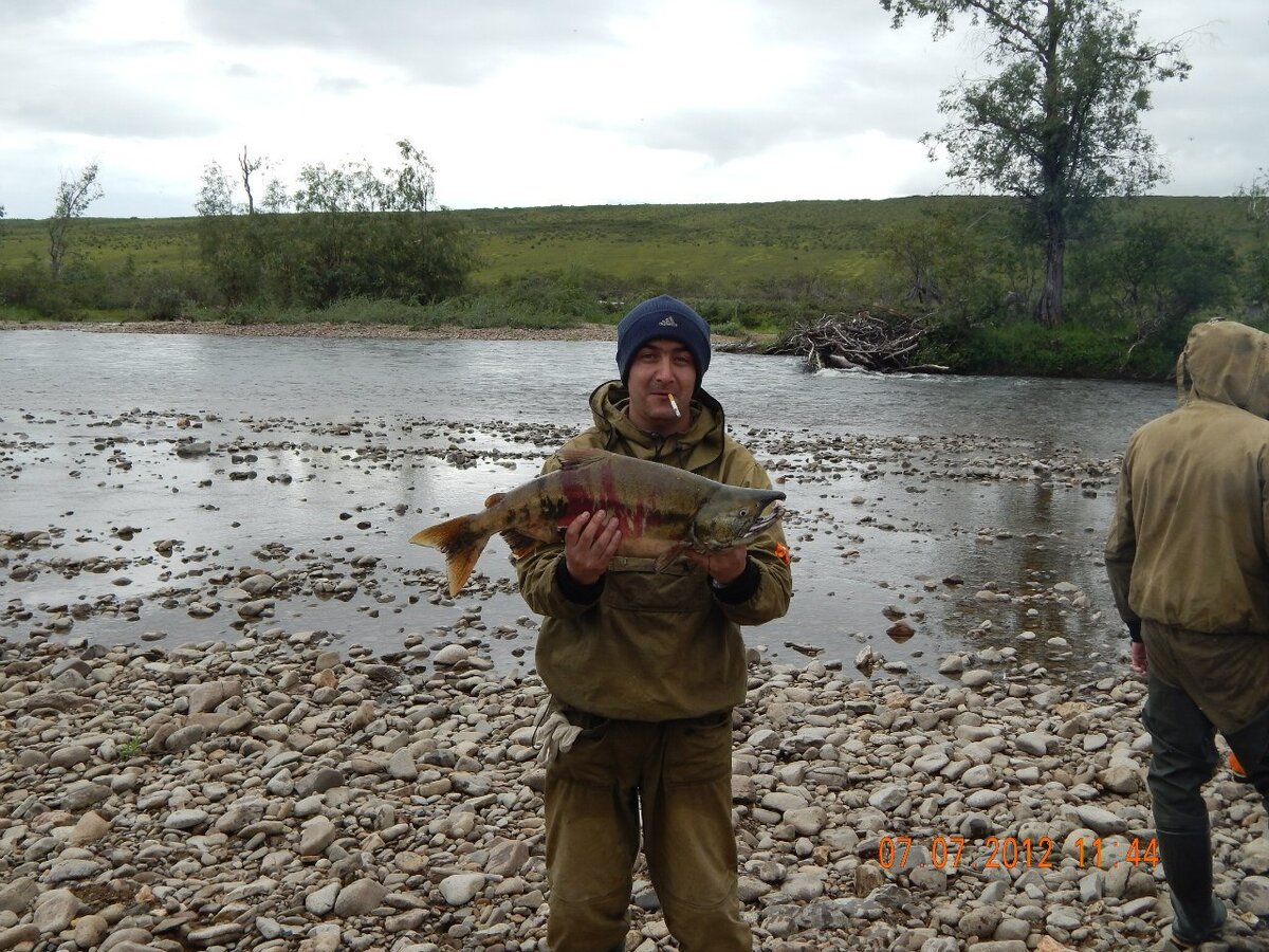 Кета камчатская