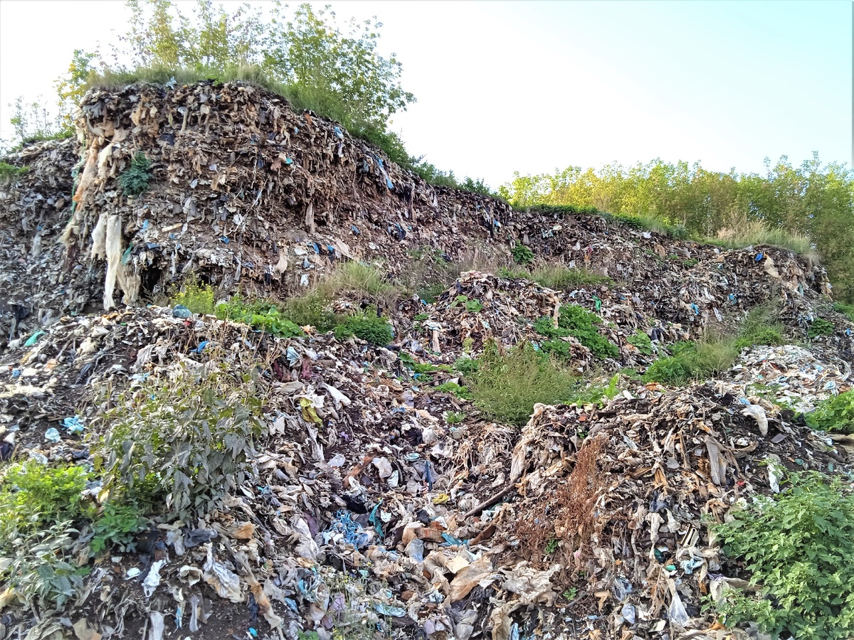 Свалка бытовых отходов в районе Шеинова карьера. Высота захоронения более 9-ти этажей. На горах отходов давно вырос лес. Объект давно не используется, однако в связи с отсутствием контроля активно разрабатывается "чёрными копателями" в поисках металла.