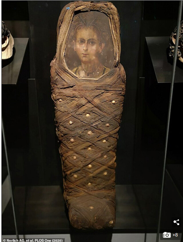 Мальчик был обнаружен в 1880-х годах на кладбище недалеко от пирамиды Хавара в Нижнем Египте, недалеко от региона Фаюм, который, как известно, был местом проживания многочисленных поселений римского периода и связанных с ними кладбищ.