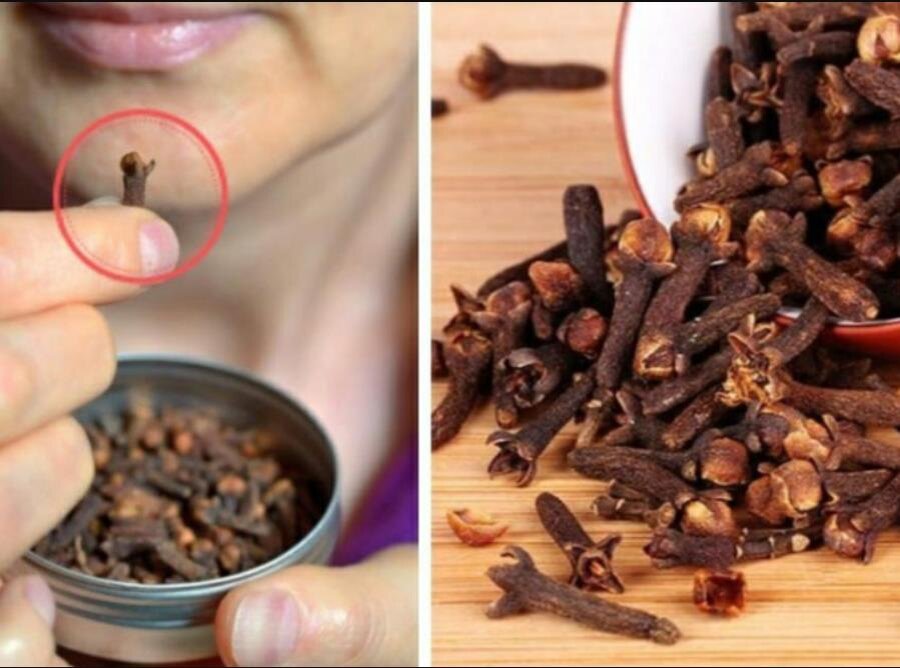 Сушенная гвоздика