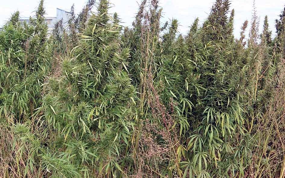 ФОТО С ПРОСТОРОВ ИНТЕРНЕТА