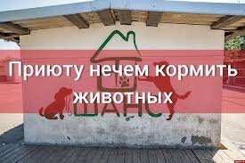 пример просьбы о помощи в интернете