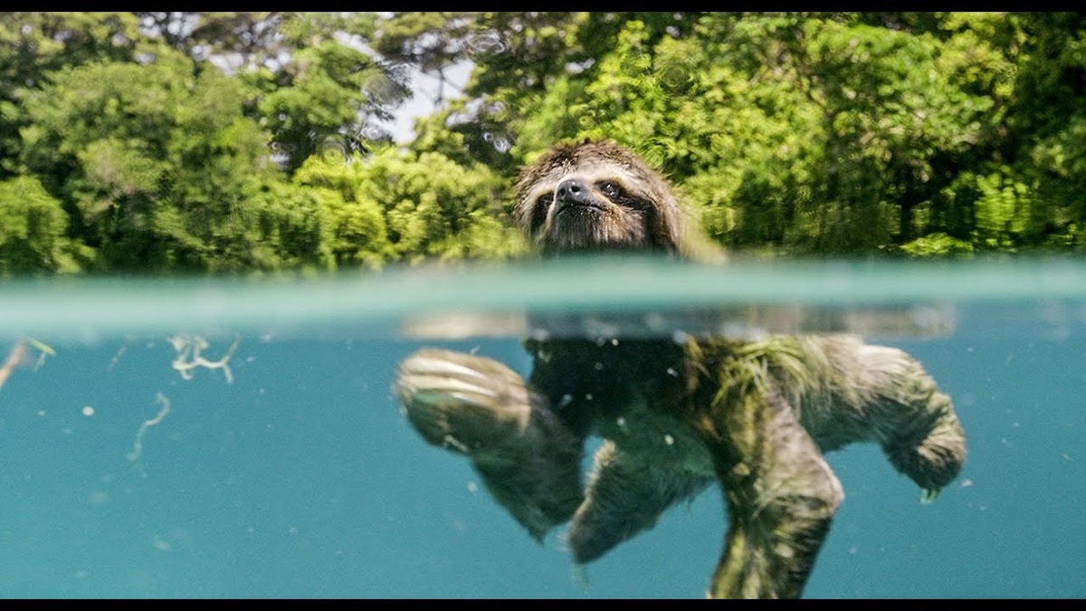 фото - Кадр из фильма, использовано в качестве иллюстрации. Источник: Яндекс Картинки
