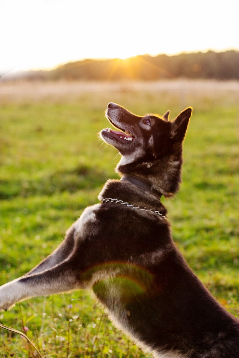 Руслан. Фотограф iris_ger_photo