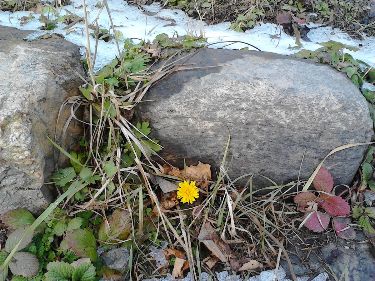 "Зима близко, но...", 2014 год, фото автора