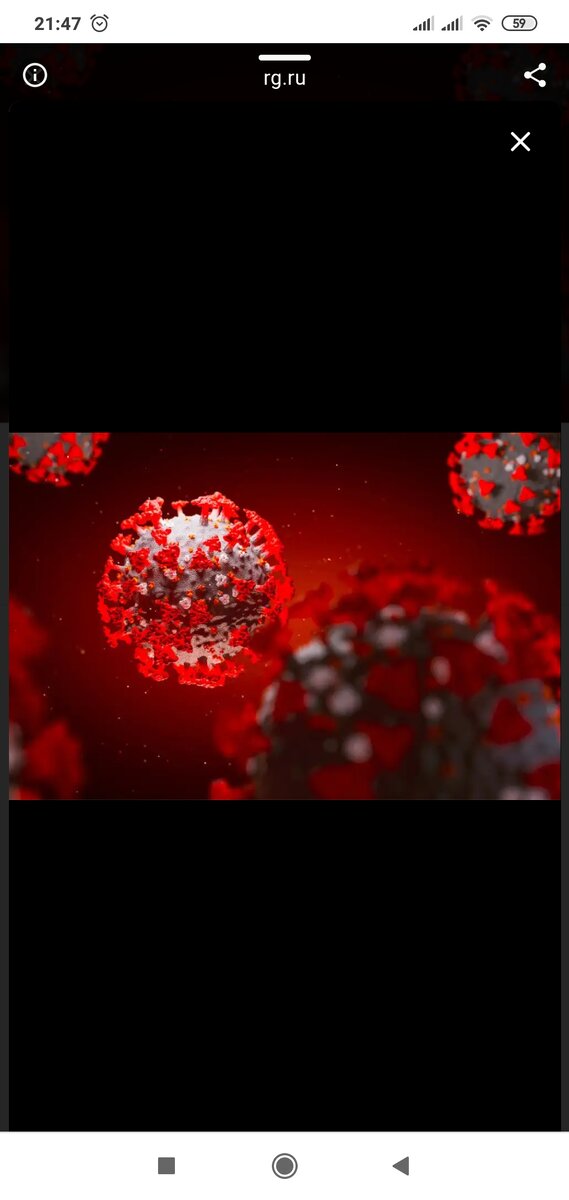 Взято из интернета. Симпатичный и злой. 