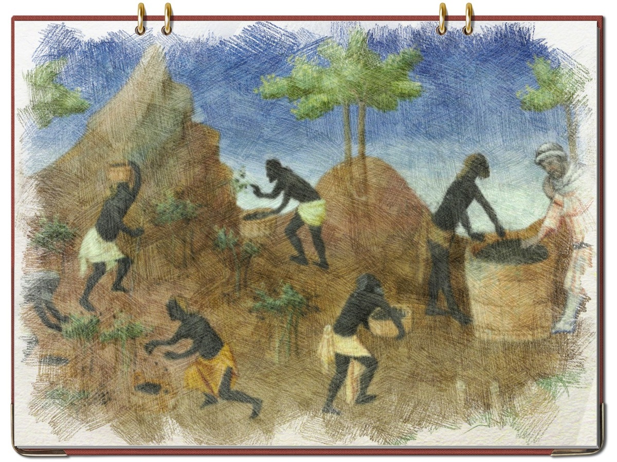 Сбор специй