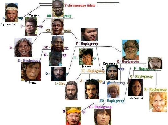 Генетические группы. Гаплогруппа i1 внешность. Гаплогруппа i внешность. Внешность по гаплогруппам. Внешность гаплогруппы r1a.
