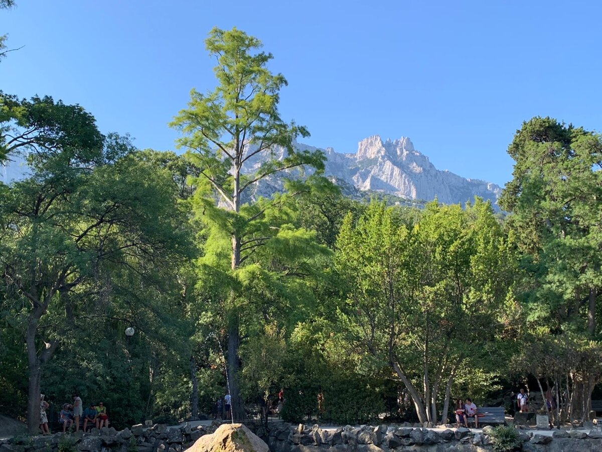 Вид на горы сфотографировала из Воронцовского парка. 