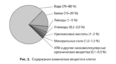 Вода заряжает наше тело энергией и другие полезные ее свойства, о которых не говорят