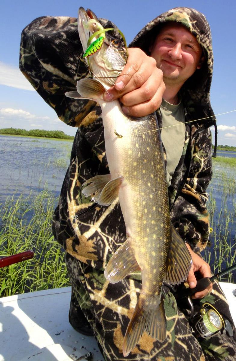 За холку. Главное - держать!