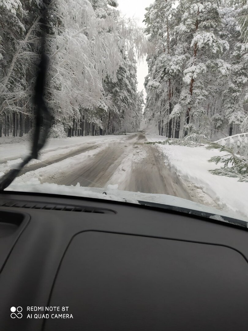Фото Татьяны Гавриловой