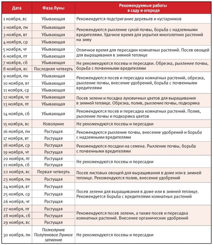 Календарь стрижек астросфера 2024 Обрезаем, рыхлим, боремся с вредителями: лунный календарь на ноябрь Крестьянская