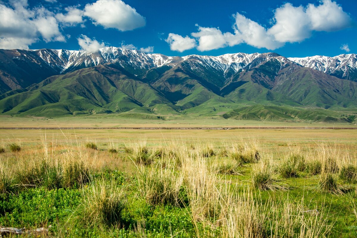 Джунгарский алатау фото