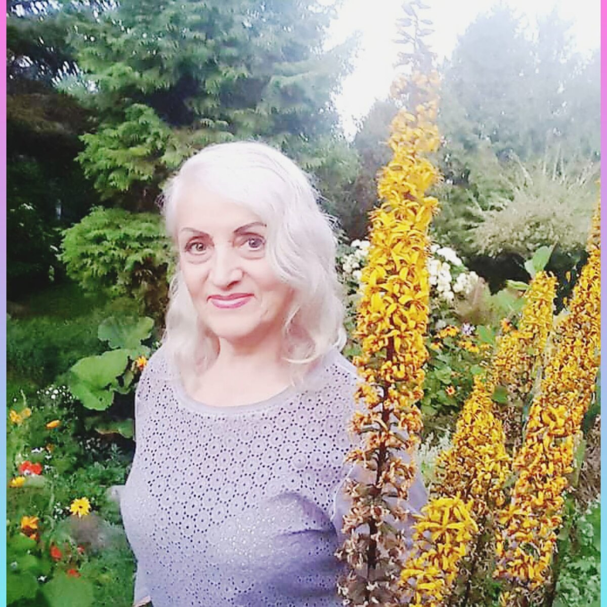 Фото из сетей интернета