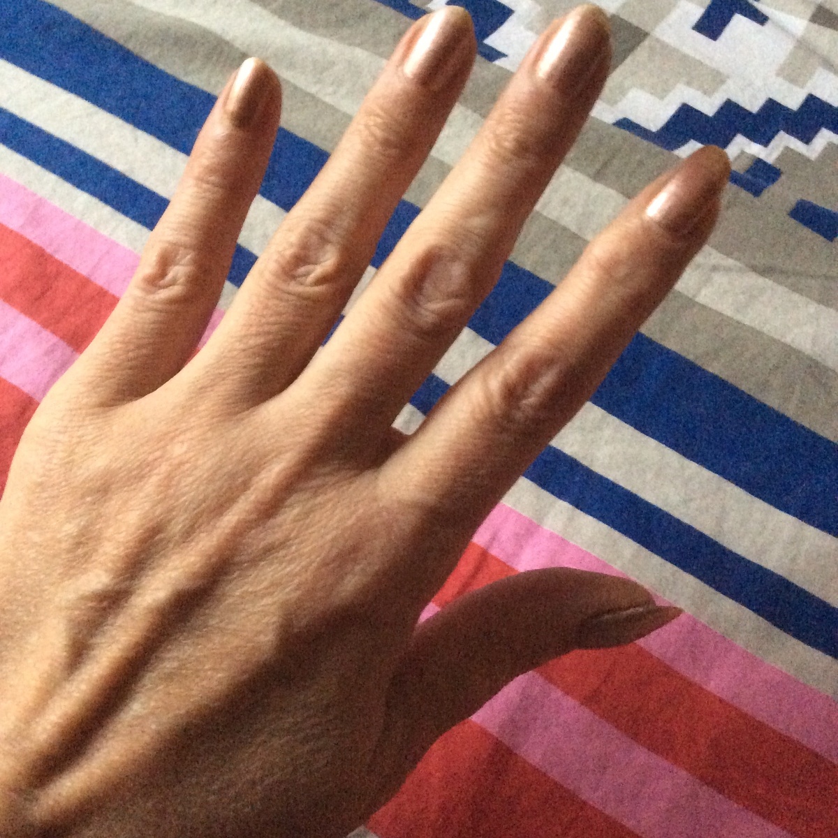 Лапки динозавра 