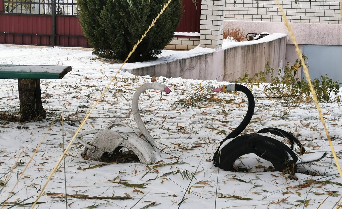 Лебеди из шин