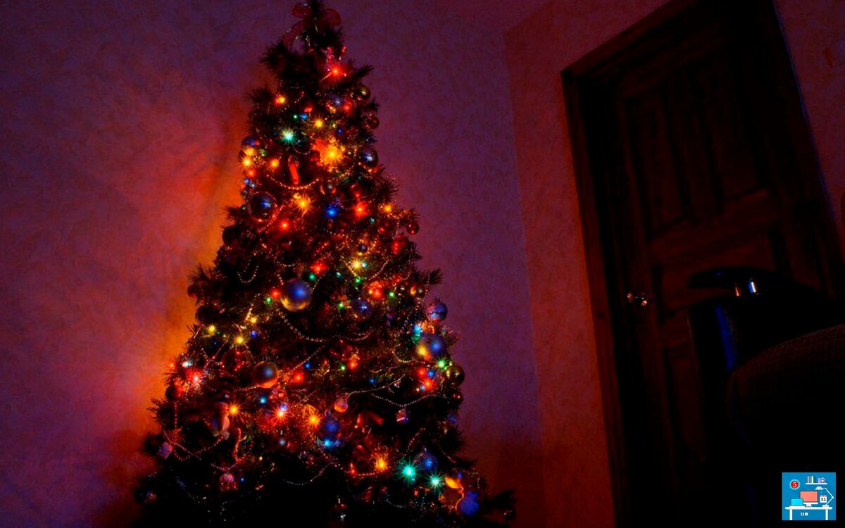 Елка остановиться. Новогодняя елка в темной комнате. Новогодняя елка в темноте. Наряженная елка в темноте. Елка ночью в доме.