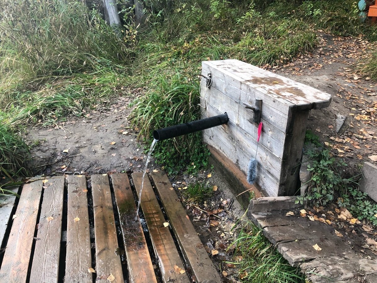 Источник: https://vk.com/velskayanedelya