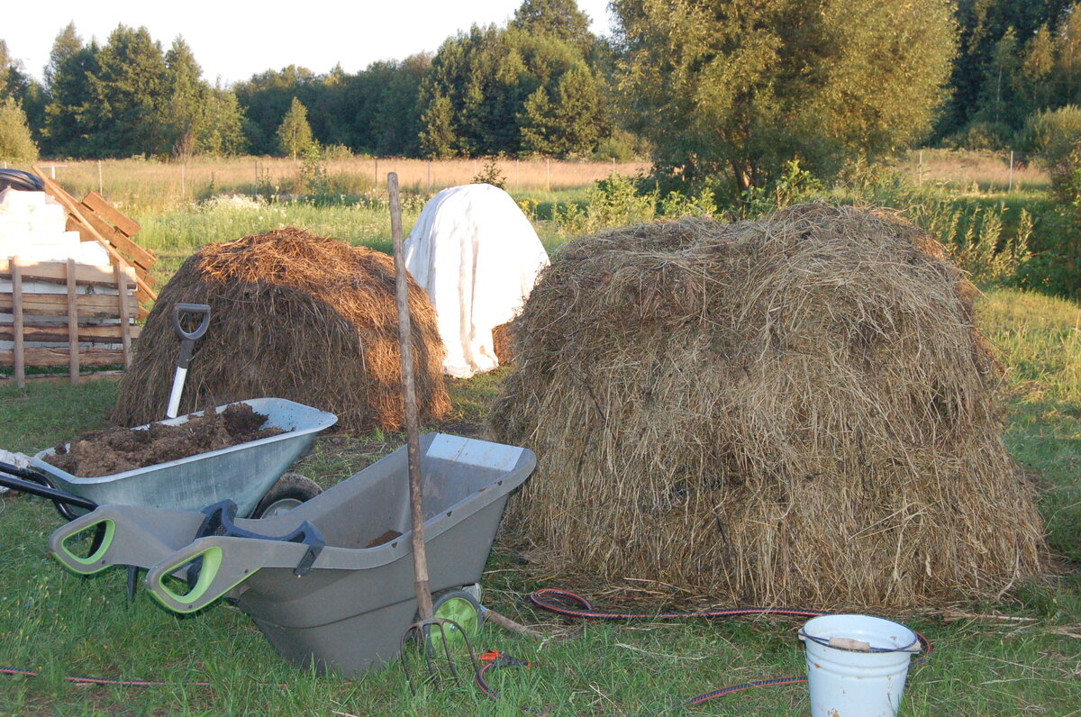 Первые опыты