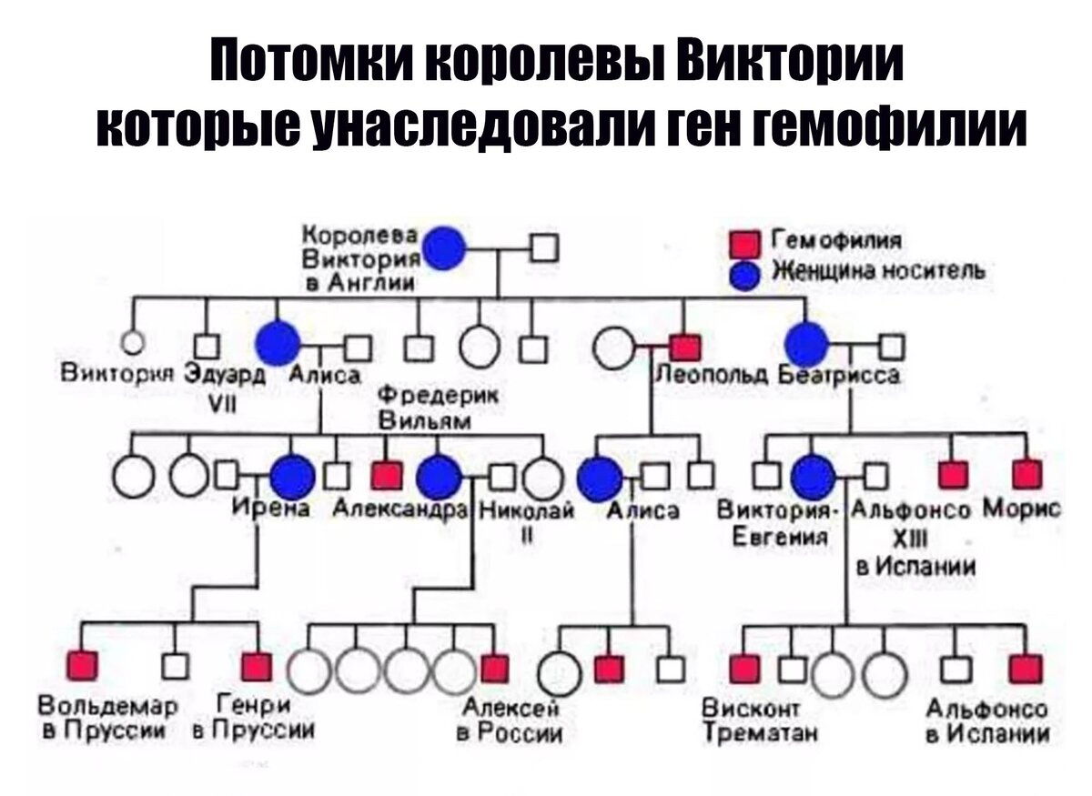 фанфики потомки первых фото 48