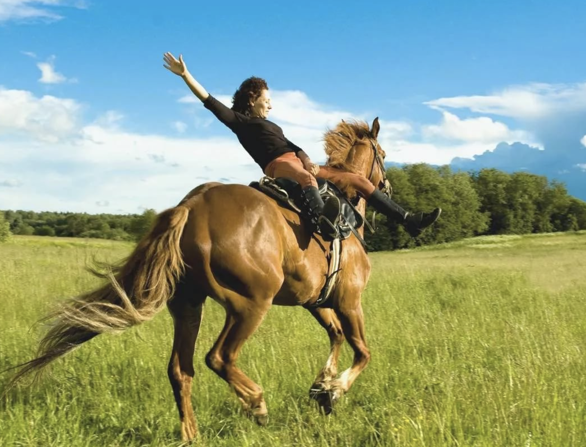 По полю с ветерком!