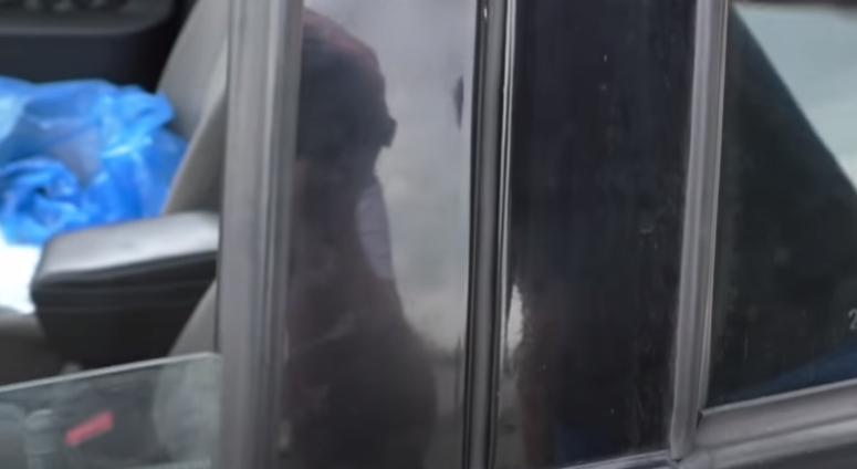 Решил проблему с задуванием воздуха в щели при езде на Приоре, Калине, Гранте, Ваз 2110-12, 14, дешево и проверенно