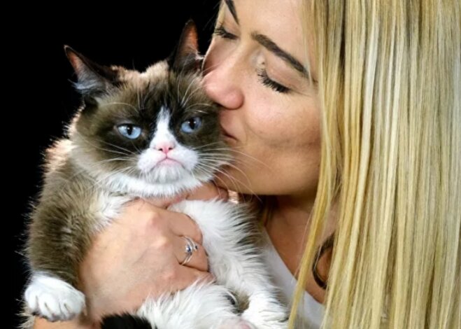 Источник Яндекс. Картинки 